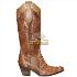 Bota texas tatu whisk sv8944